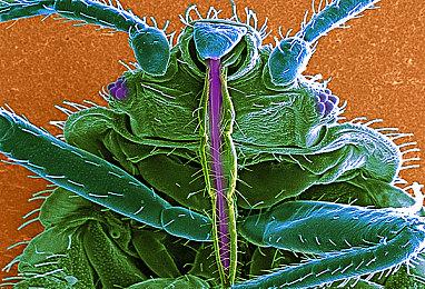 《战争机器6》Xbox版似乎将支持60FPS